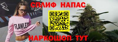 индика Новокубанск