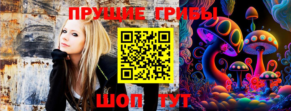 Галлюциногенные грибы Magic Shrooms  купить закладку  Тольятти  Галлюциногенные грибы Cubensis  Вход с VPN 